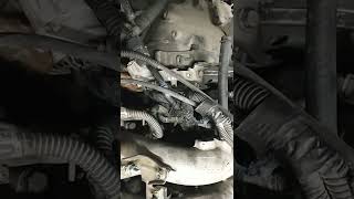 Subaru Engine swap  EJ251 out EJ22 in