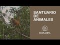 Reserva Indio Maíz, un santuario de animales.