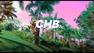 Breakbeat mix visualiser [Glitch in the Hawaiian jungle} - CHB