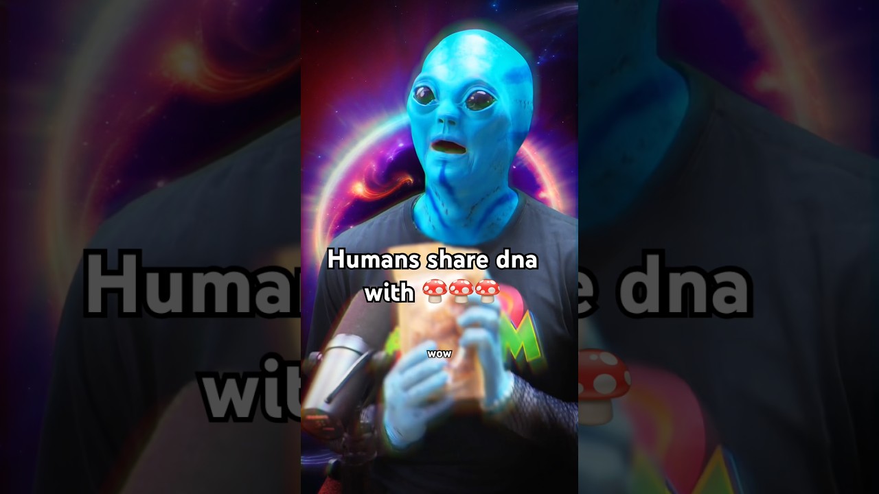 Where would you humans be without 🍄!?
