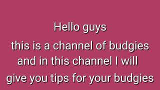 Channel introductions. Channel Introductions
