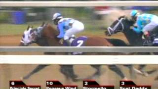2006 Breeders' Cup Juvenile