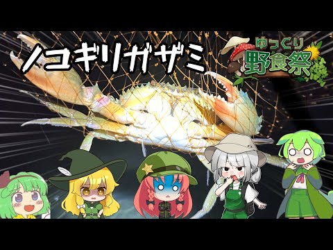 【ゆっくり野食祭】妖夢と獰猛ノコギリガザミの死闘みょん！【ゆっくり実況】【ゆっくりコラボ】のサムネイル