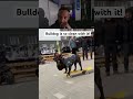 They are so good!!! #skateboarding #skate #skateboard #dogs