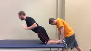 Nordic Hamstring Curl - Half