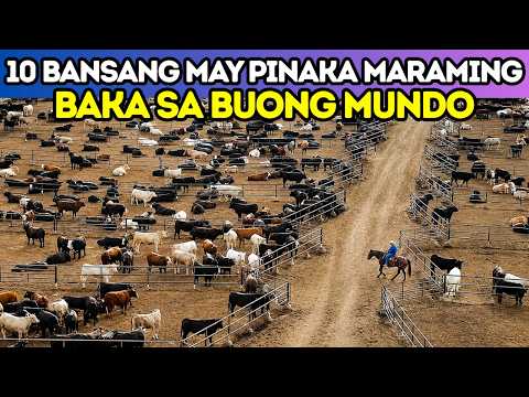 10 Bansang may Pinaka Maraming Baka sa Biong Mundo