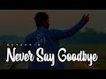 Never say goodbye  gk tahmid