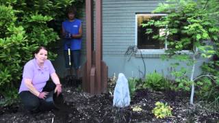 How to Prepare Clay Soil for Flowers & Shrubs : Grow Guru