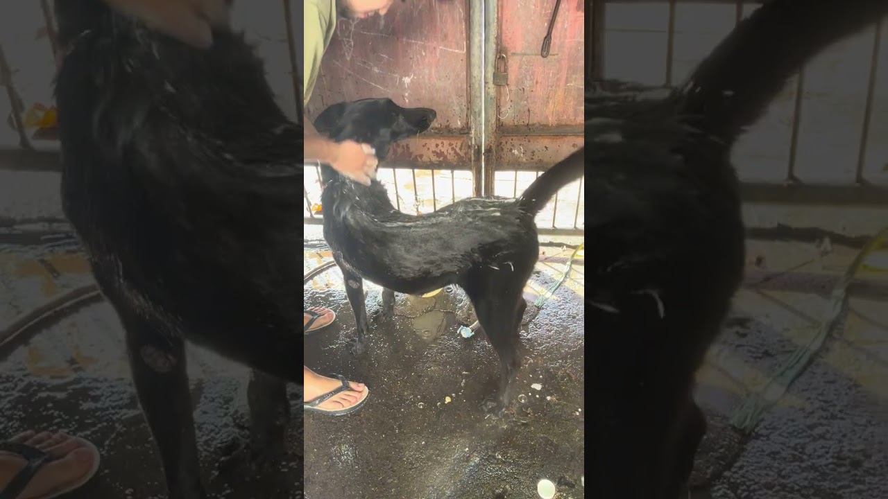 Happy sisters simple joy