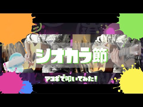 【シオカラ節】アコギで叩いてみた【Splatoon】- Calamari Inkantation -