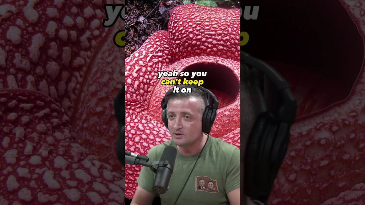 Nature's Strangest Marvel: The Enigmatic Rafflesia Flower - Joe Rogan Experience 