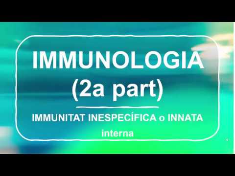 Vídeo: Quines Begudes Enforteixen El Sistema Immunitari?
