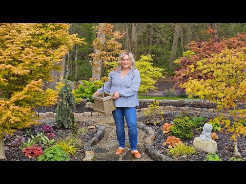 Spring Garden Tour: Japanese Maple Collection & DIY Japanese-Inspired Garden