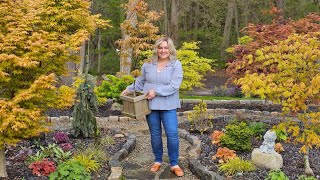 Spring Garden Tour Of Our Japanese Maple Collection & DIY Japanese-Inspired Garden