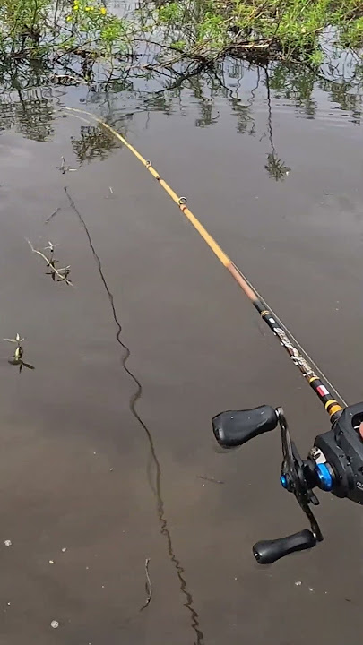 suara soft frog jaws #mancing #castinggabusdiparitkecil #fishing