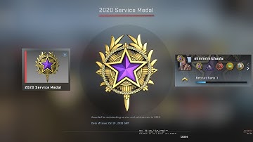 Purple Tier 4 2020 Service Medal | CSGO