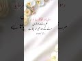 wo Mera nabi h#hadees #quotes #ihavethisthingwithplants
