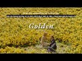 Vietsub Golden Surfaces Lyrics Video mp3