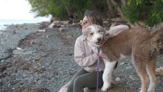 Custom Built, Ocean View Rancher in North Nanaimo | 6480 Wedgewood Place