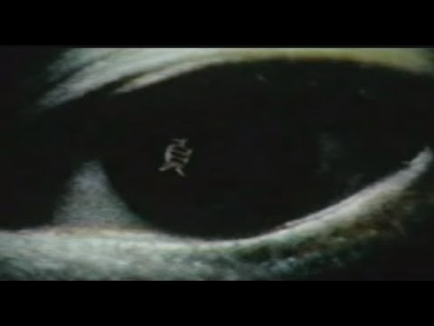  The Ring  Terror s Realm Part 8 We FINALLY Watch The 