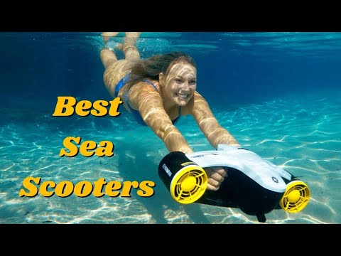 Top 10 Best