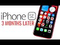 iPhone SE 2020 - 3 Months Later!