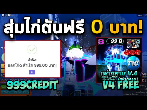 แจกโค้ดสุ่มไก่ตัน งบ 0 บาท ได้เผ่า V4 โคตรเทพ! (รีบดูก่อนหมดเขต✅)