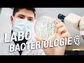 Immersion en laboratoire de bactriologie