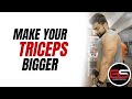 Tricep Workout for Serious Mass |  6-Day Ultimate Mass Gain Workout Routine Mp3 Song