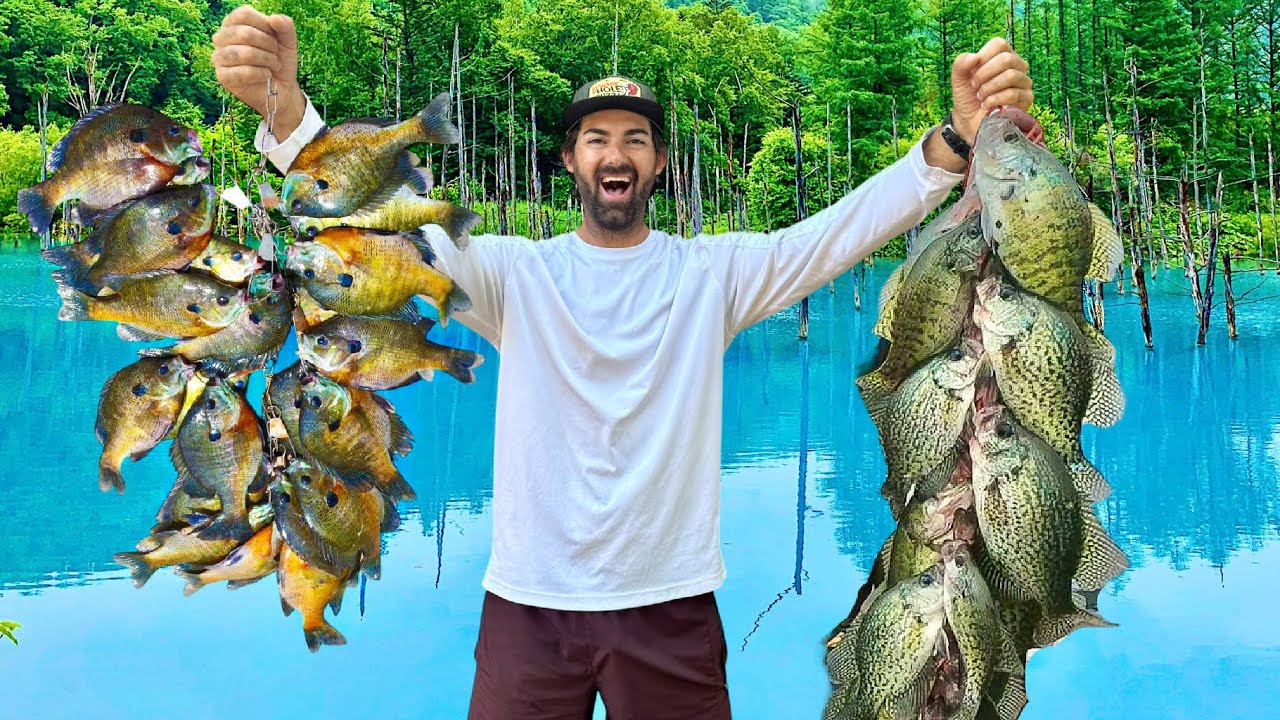 A Panfisherman's Dream! BIG BLUEGILLS and SLAB CRAPPIES Loaded Up!