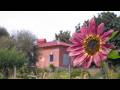 Cherry Top Farmstay - Boutique Eco Village, Launceston, Australia | Sita Hotel Gallery