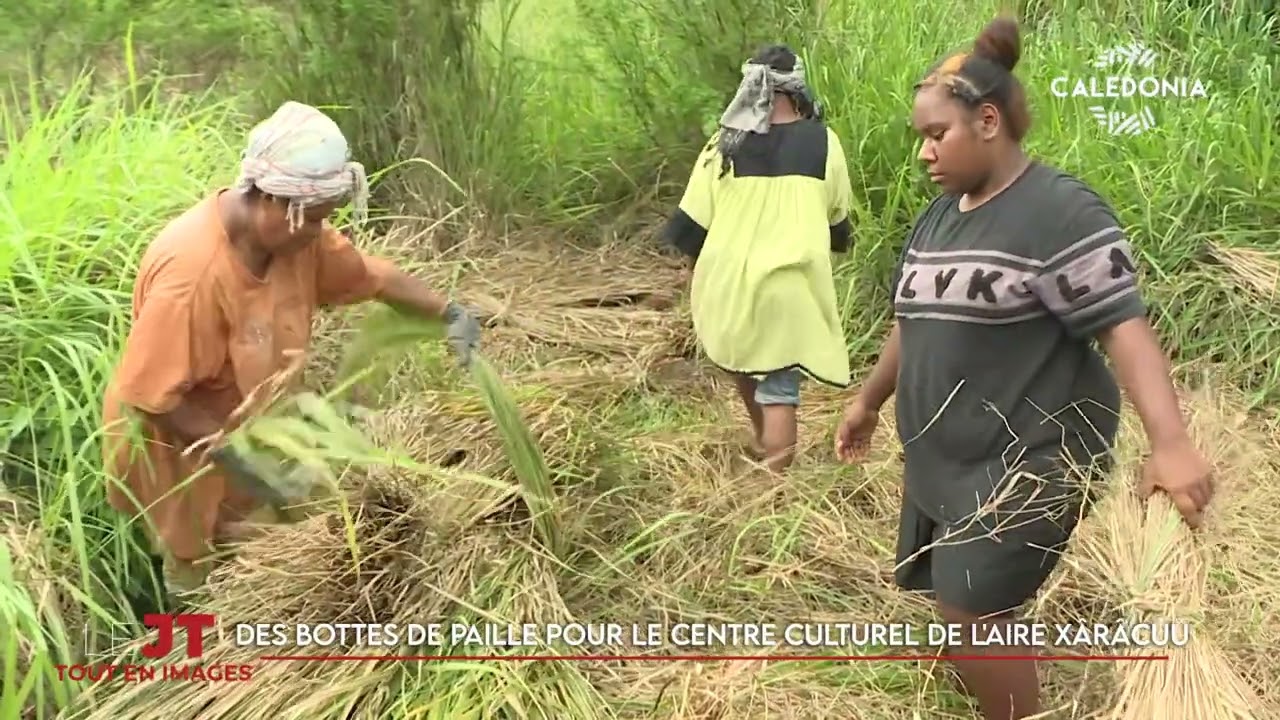 JT TOUT EN IMAGES 16-01-2024