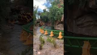 SWOOP over water! #ride #rides #rollercoasters #rollercoaster #buschgardens #florida #travel #tampa
