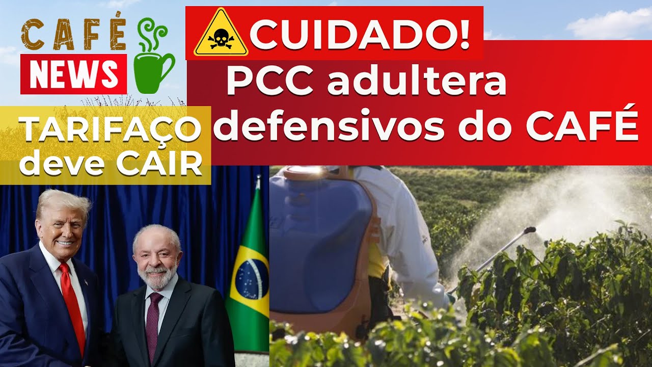 CUIDADO! PCC vendendo Defensivos ADULTERADOS para o CAFÉ! Se o Tarifaço cair, cai o preço do Café?