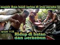 masak ikan hasil jaring dan tombak di atas perahu rawa toman warta petani muda hidup di hutan