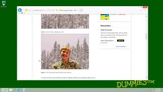 Windows 8 for Dummies - Saving Information from the Internet