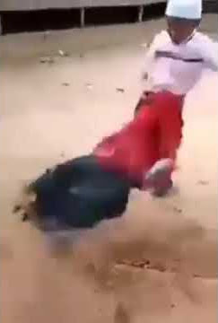 Story wa lucu bocah vs ayam