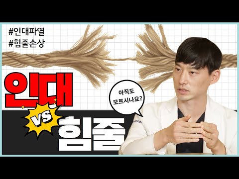   많은 사람들이 잘 모르는 인대와 힘줄 차이점 의외로 모르시는 분들을 위해서 준비했습니다 혼용하지 마세요