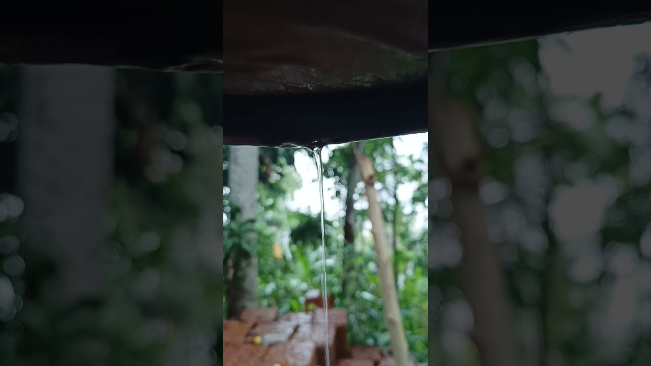 Malayam rain song status Malayalam cover song 