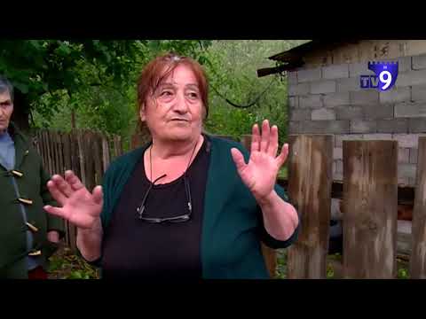 აღარაფერი დაგვიტოვა არც ხეზე და არც ბოსტანში - სეტყვისგან დაზარალებულები