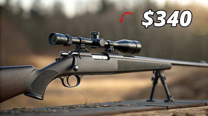 These 6 Rifles Under $500 Shoot Like a Dream!