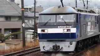 JR山陽本線　貨物列車　EF210ー113