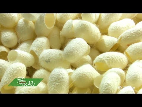 #უკეთრომაკეთო როგორ მზადდება აბრეშუმის პარკი გასაყიდად