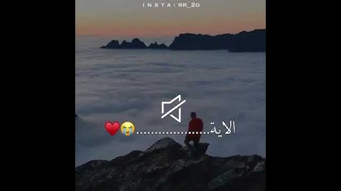 الاية تبكي😭- قرآن كريم بصوت القارئ: رعد الكردي  || أجمل حالات واتس اب دينيه || مقاطع انستقرام 💙