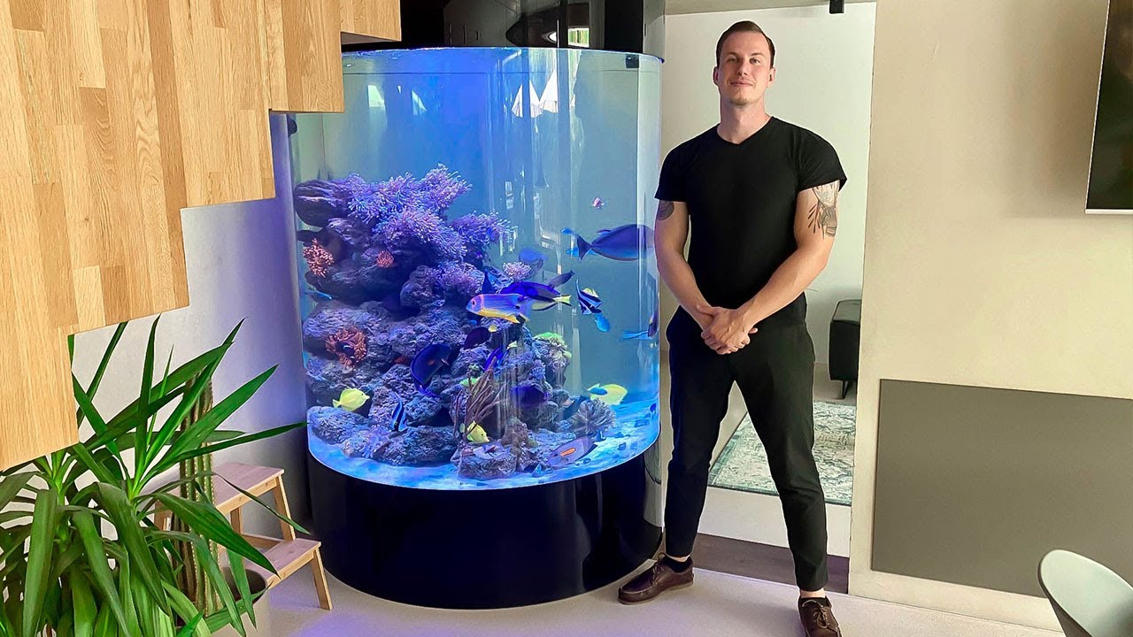 How to build a 1000 gallon fish tank