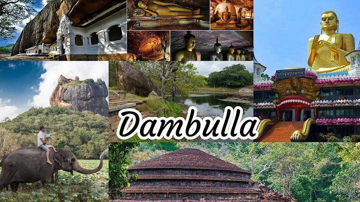 On the way to Dambulla | Travel to Dambulla | දඹුල්ලේ යන ගමන් #14