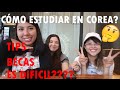 COMO ESTUDIAR EN COREA???  BECAS, TIPS, NUESTRAS EXPERIENCIAS  | Wegukines En Corea