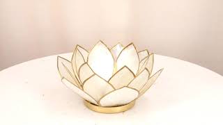Athlete Statistics Ebros Seashells Lotus Flower Votive Tea Light Candle Holder 4.25"D (Pearl White)
