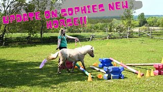 More New Pets For Our Farm And Update On Sophies New Horse!