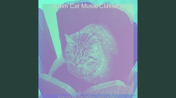 Pulsating Backdrops for Calming Cats